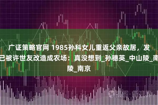 广证策略官网 1985孙科女儿重返父亲故居,发现已被许世友改造成农场:真没想到_孙穗英_中山陵_南京