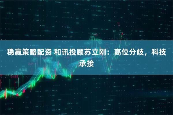 稳赢策略配资 和讯投顾苏立刚:高位分歧,科技承接