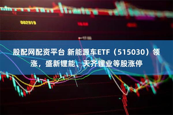 股配网配资平台 新能源车ETF（515030）领涨，盛新锂能、天齐锂业等股涨停