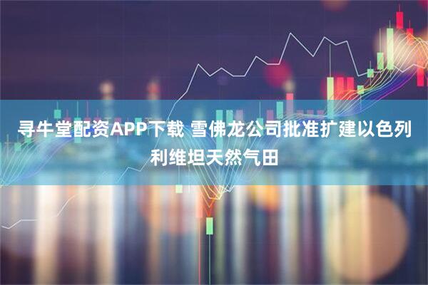 寻牛堂配资APP下载 雪佛龙公司批准扩建以色列利维坦天然气田