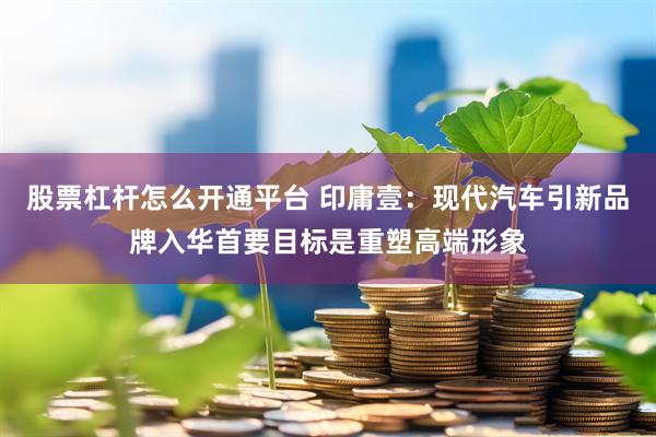 股票杠杆怎么开通平台 印庸壹：现代汽车引新品牌入华首要目标是重塑高端形象